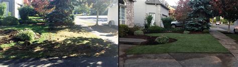 Sod Installation and New Lawn Installation, Portland, Oregon, Earthborn