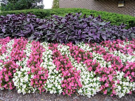 106 best HOA entrance flowers images on Pinterest | Gardening, Garden layouts and Landscaping