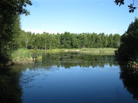 Gravel-pit Pond © don cload cc-by-sa/2.0 :: Geograph Britain and Ireland