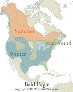 Range map for the Bald eagle | Bald eagle | Pinterest | Bald eagle ...