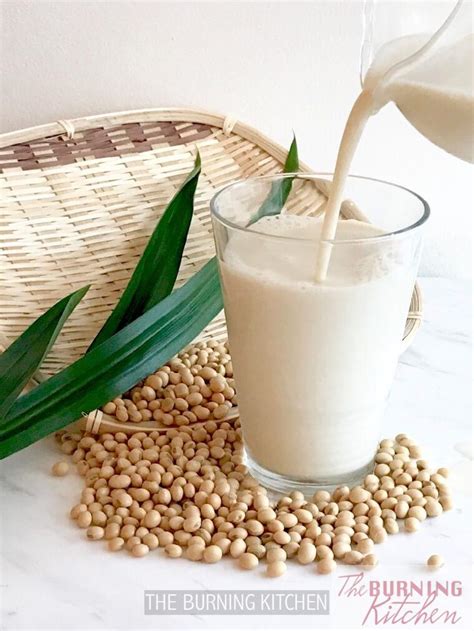 Traditional Soy Milk Secret Recipe | The Burning Kitchen