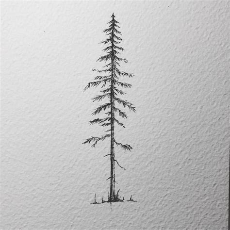 How To Draw Small Pine Trees at How To Draw