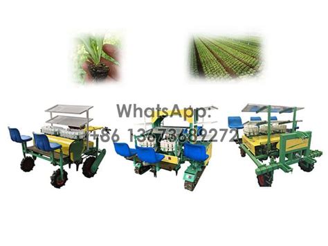 Vegetable Transplanter | Transplanting Seedlings Of Onion, Tomato, Melon, 2024