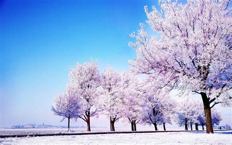 Korea Winter Wallpapers - Top Free Korea Winter Backgrounds ...