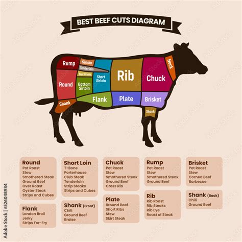 Beef Cuts Diagram With American Cuts Of Beef Meat Vector Illustration ...