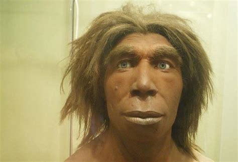 The Widespread Appearance of Neanderthal DNA: Africans Have It Too ...