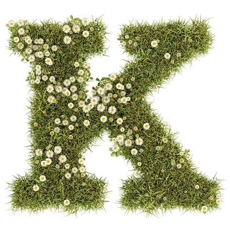 Daisy Font - Grass OpenType Typeface | Handmadefont.com