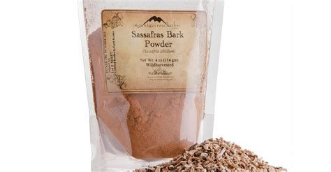 Special Ingredient: Sassafras | Craft Beer & Brewing