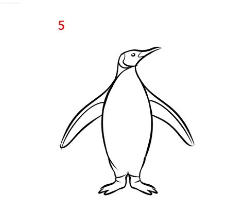 Penguin Drawing How to draw a Penguin