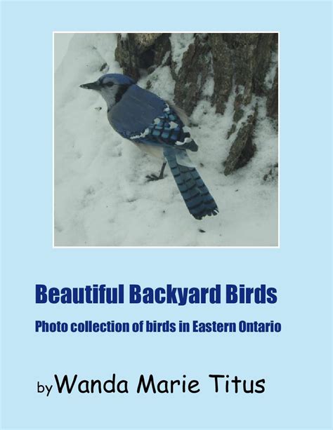 Beautiful Backyard Birds | Book 792283