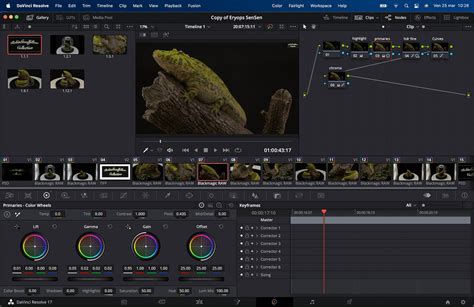 DaVinci Resolve Color Grading | DaVinci Resolve Color Gradin… | Flickr