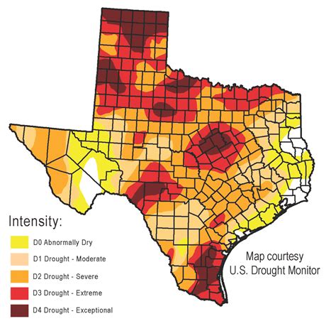 Texas_Drought | Environmental Prose