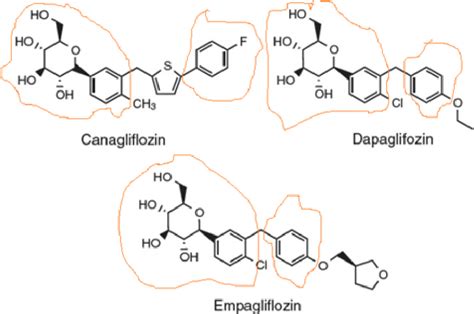 [PDF] Sympatholytic Mechanisms for the Beneficial Cardiovascular Effects of SGLT2 Inhibitors: A ...