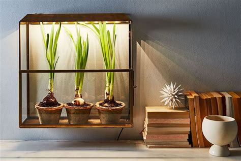 The Best Indoor Garden Kits to Turn Your Home Into a Greenhouse | Gear Patrol