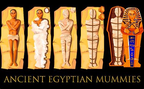 Ancient Egyptian Mummies - Top Facts & Hidden Secrets