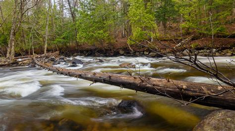 The Magnetawan River, Ontario | A natural bridge across the … | Flickr