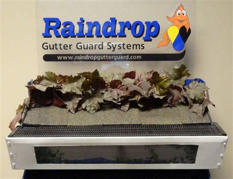 Raindrop Gutter Guard Certified Installer - Opal Enterprises Exterior Home Renovation