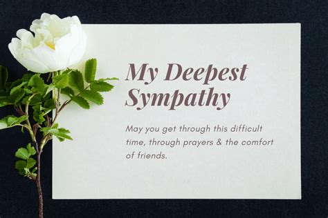 300+ Condolence Messages → Comforting Words of Sympathy