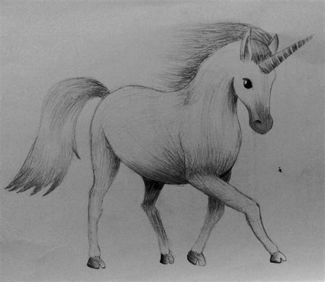 How To Draw Realistic Unicorn | Images and Photos finder