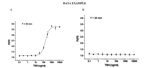 Thyroid Stimulating Hormone Receptor cell line