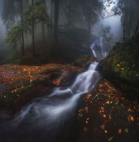 Misty river | Waterfall, Landscape photography nature, Landscape ...