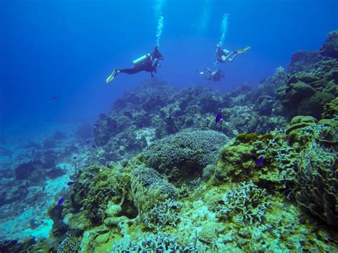 Diving in Cozumel : My Top 5 Dive Spots on the Cozumel Reef