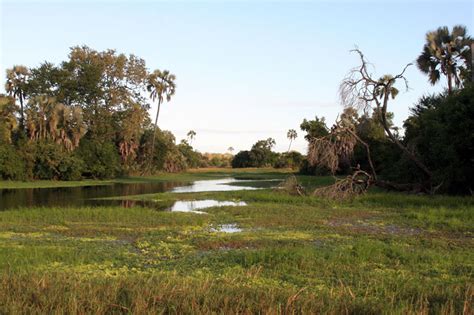 Gorongosa National Park | Safari Consultants