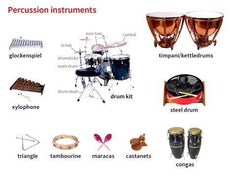 percussion noun - Definition, pictures, pronunciation and usage notes ...