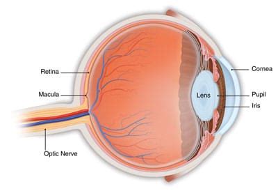 Retina Treatment & Surgery, Macular Degeneration – Cabarrus Eye Center