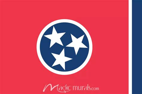 Tennessee State Flag Wallpaper Mural by Magic Murals