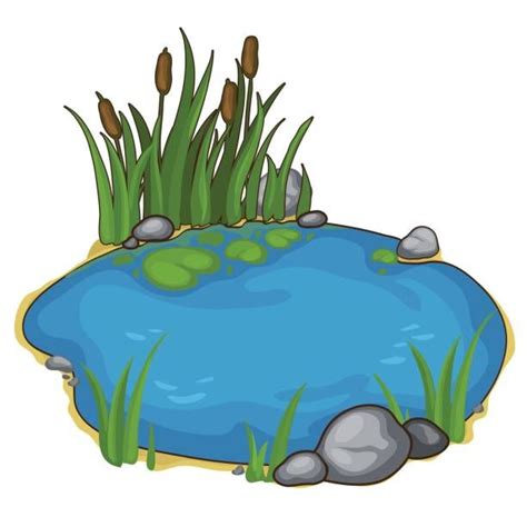 Best Pond Illustrations, Royalty-Free Vector Graphics ... | Cartoon ...