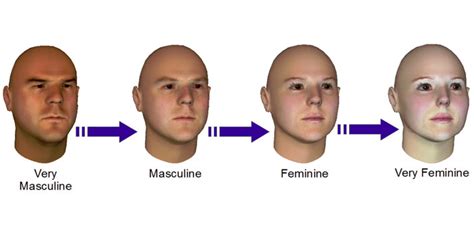 Computers can now accurately judge how masculine or feminine your face is