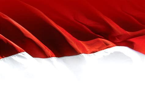 Free Download Wallpaper Bendera Merah Putih - Bendera Merah Putih Background Png (#743111) - HD ...