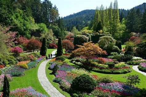 Breathtaking Butchart Gardens and High Tea in Victoria, BC - The Daring Gourmet