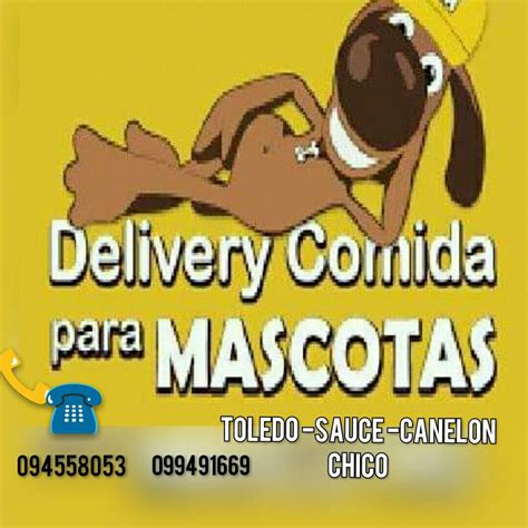 Delivery Mascotas Toledo | Toledo