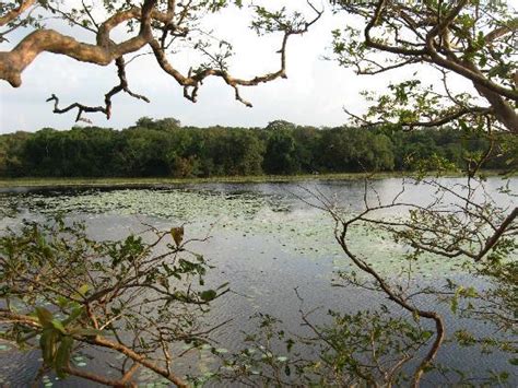 Sri Lankan Beauty: Wilpattu National Park