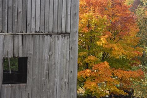 Weather in coming weeks could make or break Vermont’s fall foliage ...