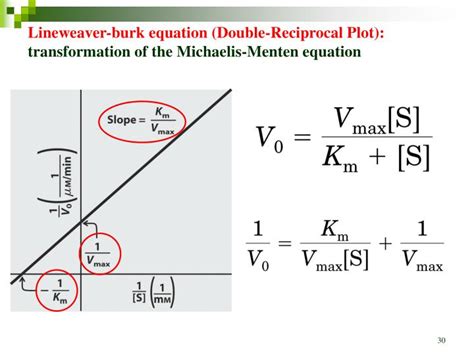 PPT - Chapter 6 Enzymes PowerPoint Presentation - ID:5143485