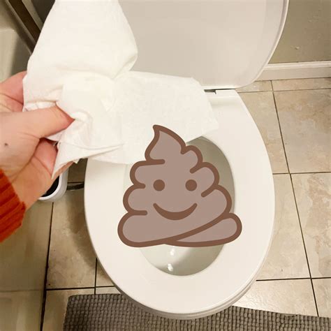 How to Prevent Poop From Sticking to the Toilet Bowl - Lockdown Loo