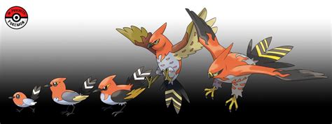 662 - 664 Fletchling Line by InProgressPokemon | Hd pokemon wallpapers ...