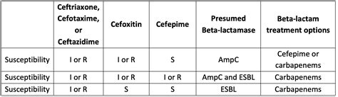 5 Important Things To Know About Extended Spectrum Beta-Lactamases ...