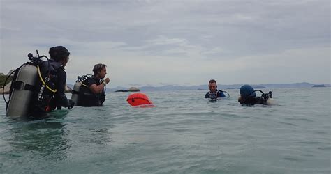 How ghost nets haunt marine life - Restoration Stewards by Global ...