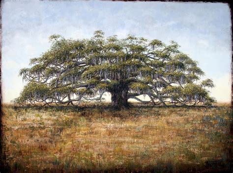 The Old Oak Tree Painting by Judy Merrell