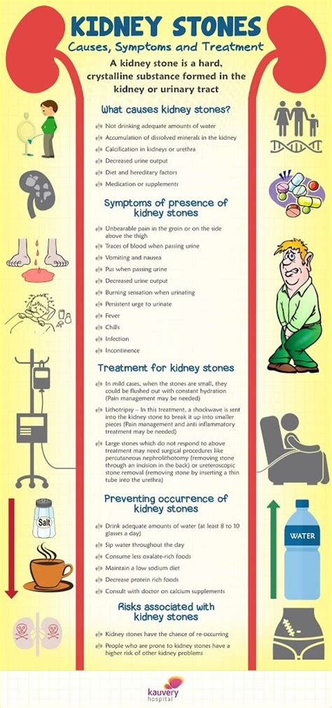 Kidney Stones – Causes, Symptoms and Treatment – Infographic | Kauvery ...