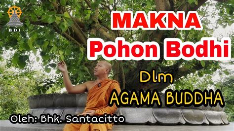 Mengenal Simbol Agama Buddha Swastika Hingga Pohon Bodhi Youtube | The Best Porn Website