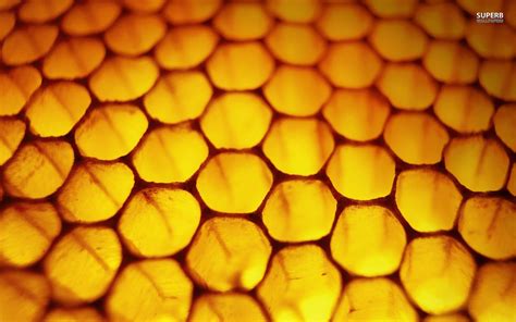 Free Honeycomb wallpaper | 1680x1050 | #10490