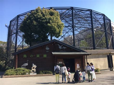 An Osaka Family Favorite! Tennoji Zoo | Kansai Odyssey