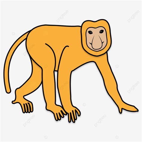 Monkey Illustration Vector Art PNG, Proboscis Monkey Illustration, Proboscis Monkey ...