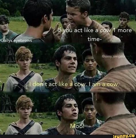 moo The Maze Runner, Maze Runner Thomas, Maze Runner Memes, Maze Runner Imagines, Maze Runner ...