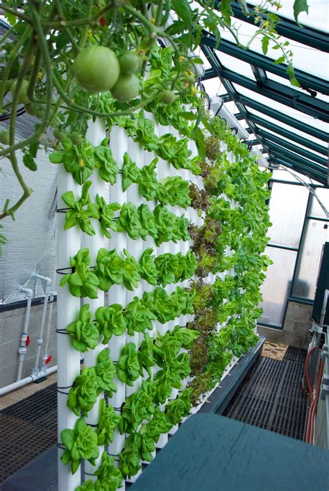 Our 80º Vertical Aquaponics System is all about saving both SPACE ...